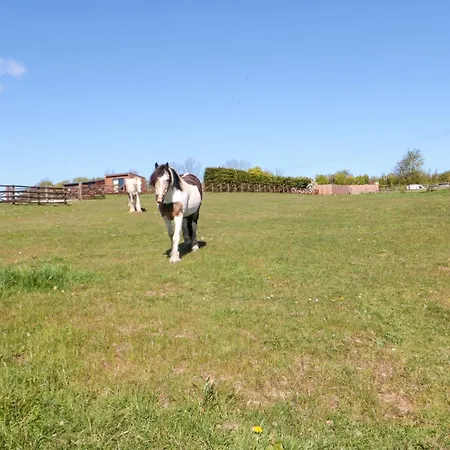 Aspen Whitby